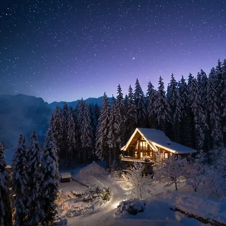 Baumhaus By Gassner *